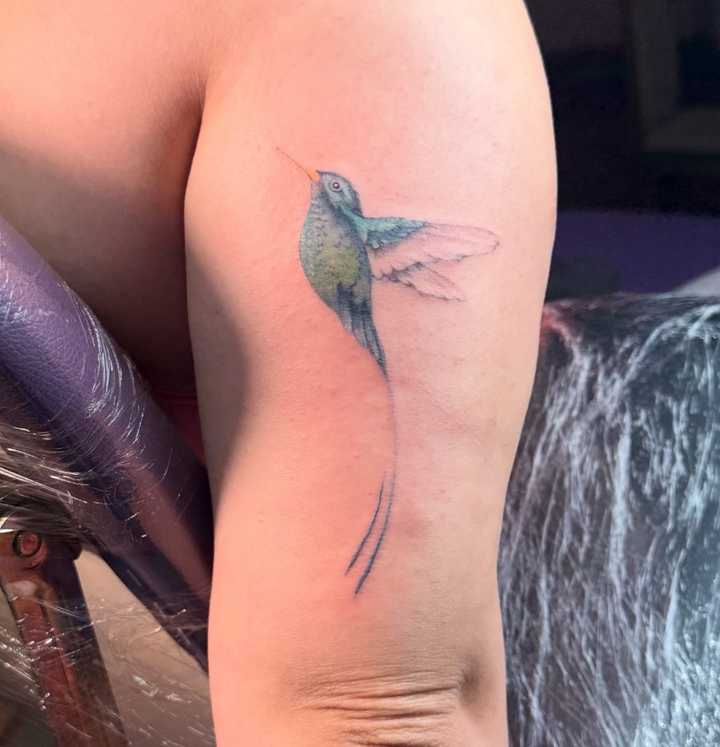Tatuagem delicada de beija-flor em cores suaves