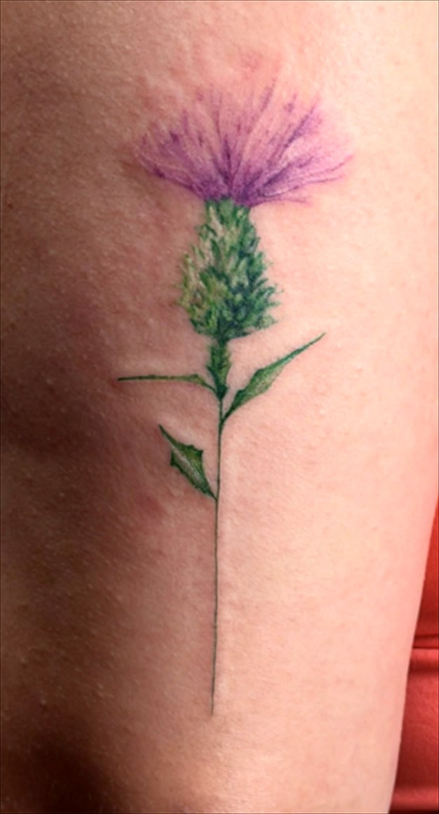 Tatuagem delicada de cardo em lilás e verde